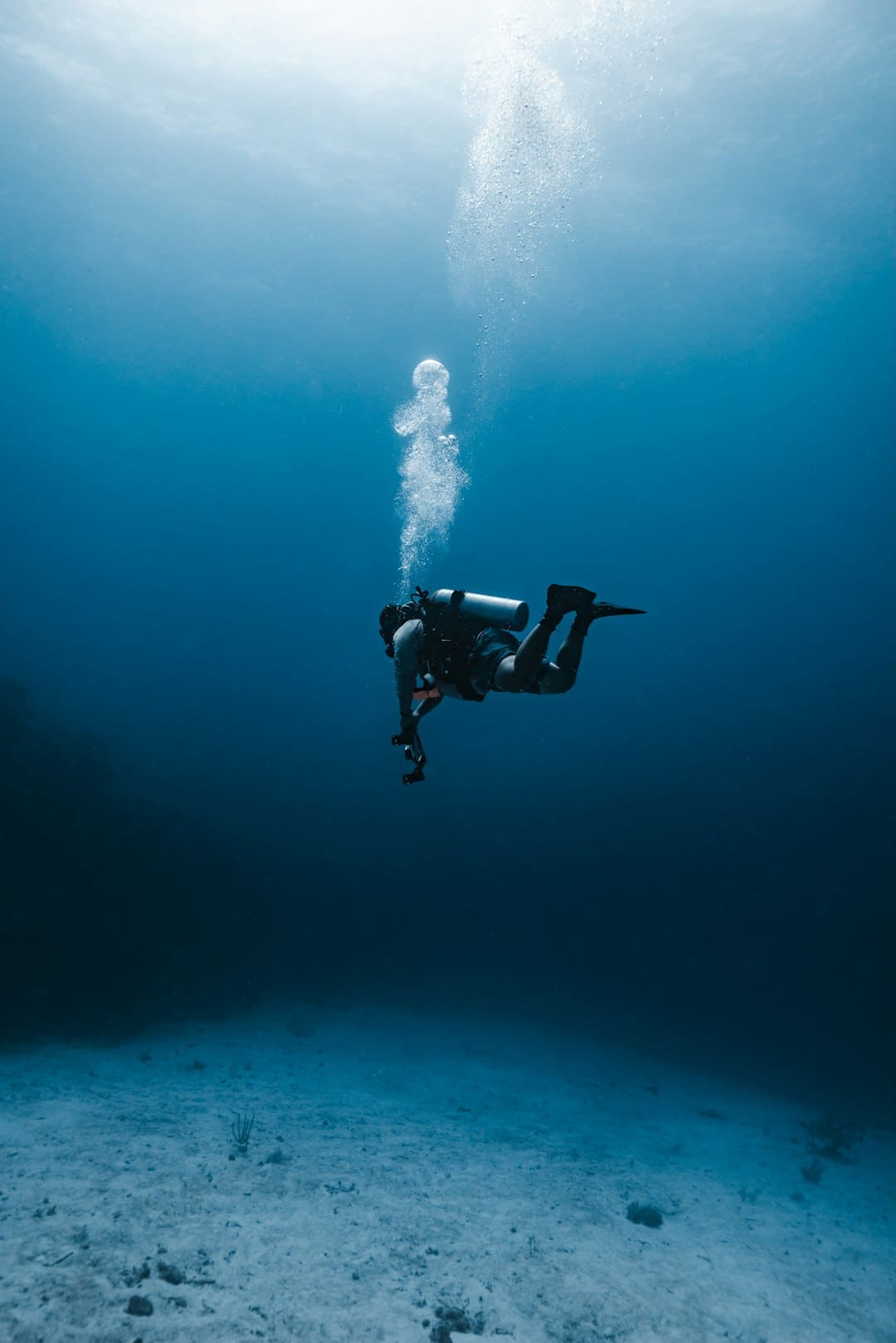 三大指数均有上升 经济景气水平整体坚持扩张